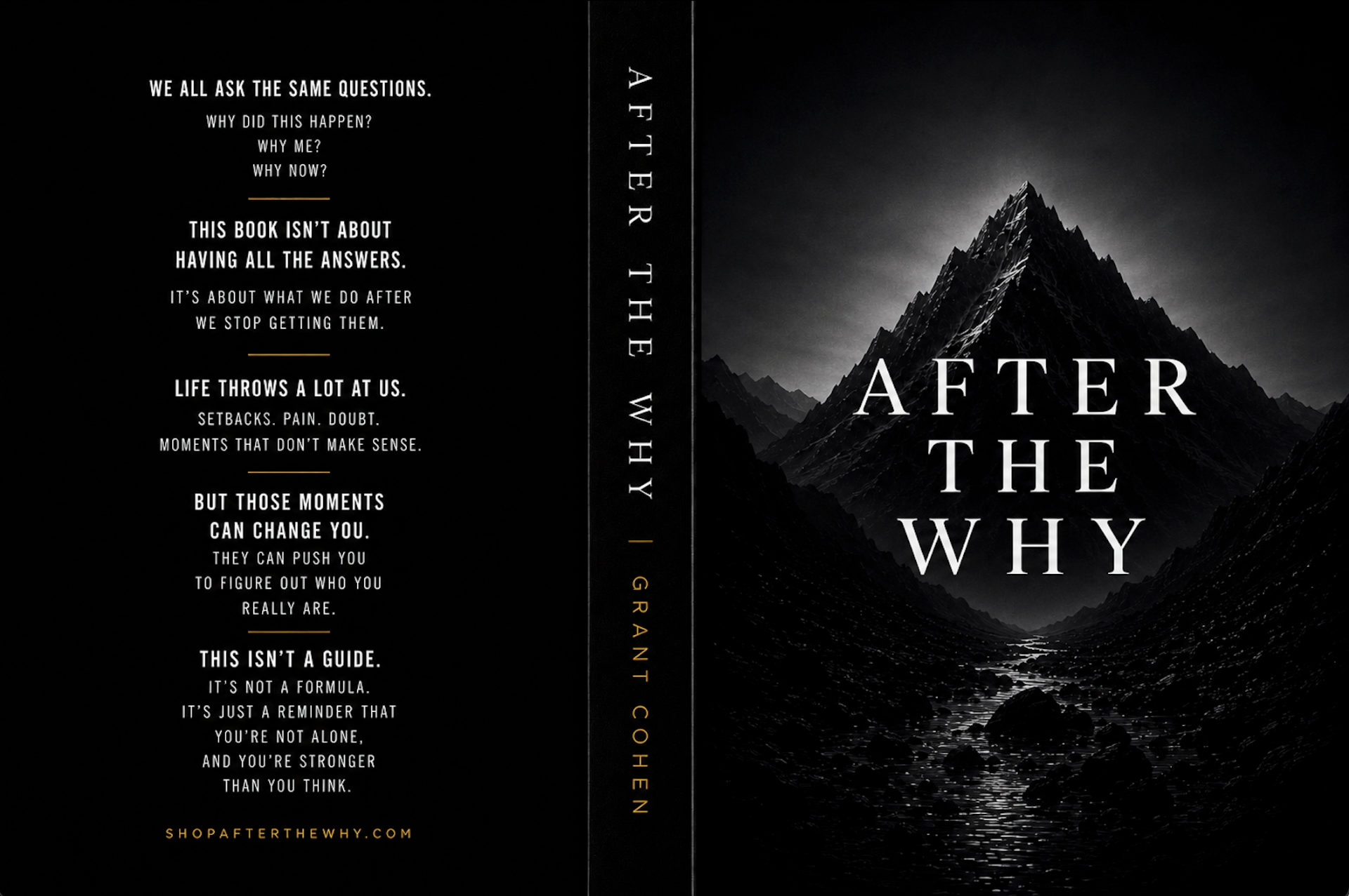 After the Why — book cover